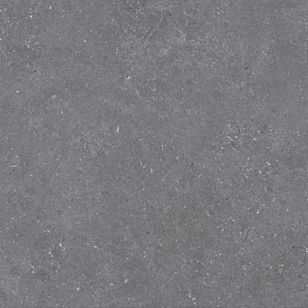 Плитка Argenta Kalksten Winter Lap Пол 600X600X10
