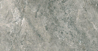 Плитка Cisa Royal Marble Grigio Lap 170147 Стена 296Х593