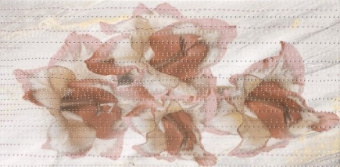 Плитка ITO 1913 IRIS GREY ДЕКОР