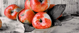 Плитка NEO GEO 5 ДЕКОР