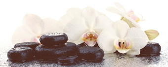 Плитка Super Ceramica Rev Decor Loto 200Х500