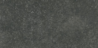 Плитка Pamesa Ceramica Cr Belgio Negro Matt 110Х223 Пол