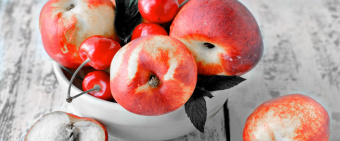 Плитка NEO GEO 7 ДЕКОР