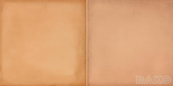 Плитка Lasselsberger Rako Retro Brick 20X40 Warmb522 Стена