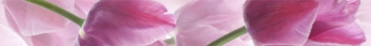 Плитка TULIPAN ФРИЗ