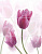 Плитка TULIPAN KOMPLET CENTRO (НАБОР ИЗ 3 ШТ)