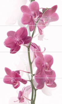 Плитка ORCHIS KOMPLET CENTRO (НАБОР ИЗ 4 ШТ)