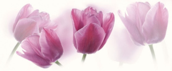 Плитка TULIPAN CENTRO ДЕКОР