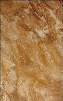 Плитка Cristacer Claudia Marron 250Х400