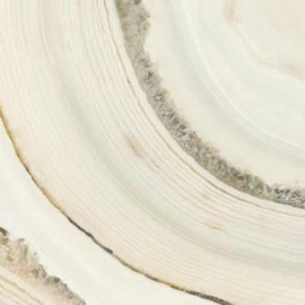 Плитка AKOYA/49/HL/R ПОЛ