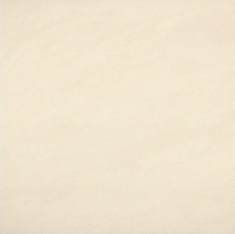 Плитка CONCEPT CN 01  REKTYFIKOWANA NATURA ПОЛ