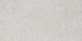 Плитка Lasselsberger Rako Base Light Grey Стена-Пол DARSE432 298х598х10
