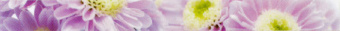 Плитка FLASH D-MDJ70 B PURPLE ФРИЗ