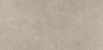 Плитка Pamesa Ceramica Cr Belgio Sable Matt 110Х223 Пол