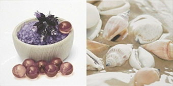 Плитка BLANCO BATH IV ДЕКОР