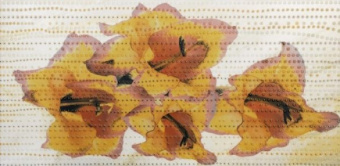 Плитка ITO IRIS OCHER 1915 ДЕКОР