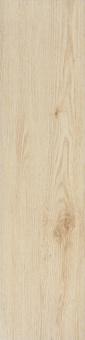 Плитка Stargres Valencia Beige Пол